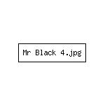 Mr Black 4.jpg